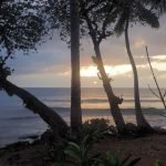 Puerto rico travel 2016 10 » 2026 » roaming sparrow 10286979 10153271520451300 6043109316307038719 o 10153271520451300 » Roaming Sparrow » 2026