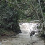 Puerto rico travel 2016 26 » 2026 » roaming sparrow 11218494 10153276921261300 2009352865358876349 o 10153276921261300 » Roaming Sparrow » 2026
