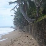 Puerto rico travel 2016 62 » 2026 » roaming sparrow 12715942 10153273606866300 7849696557135990333 o 10153273606866300 » Roaming Sparrow » 2026