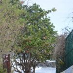 Puerto rico travel 2016 56 » 2026 » roaming sparrow 12716110 10153273606281300 1621988278680482191 o 10153273606281300 » Roaming Sparrow » 2026
