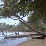 Puerto rico travel 2016 50 » 2026 » roaming sparrow 12719380 10153273605666300 6368074158716675179 o 10153273605666300 » Roaming Sparrow » 2026