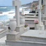 Puerto rico travel 2016 47 » 2026 » roaming sparrow 12747339 10153280842046300 1468419213432112685 o 10153280842046300 » Roaming Sparrow » 2026