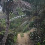 Puerto rico travel 2016 55 » 2026 » roaming sparrow 12764680 10153273606821300 1870297422427630178 o 10153273606821300 » Roaming Sparrow » 2026