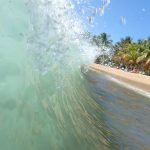 Puerto rico travel 2016 44 » 2026 » roaming sparrow 12768129 10153278776676300 2082613975965610698 o 10153278776676300 » Roaming Sparrow » 2026