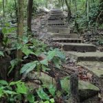 Puerto rico travel 2016 58 » 2026 » roaming sparrow 12768207 10153276921341300 2106404301419589380 o 10153276921341300 » Roaming Sparrow » 2026