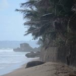 Puerto rico travel 2016 40 » 2026 » roaming sparrow 12771651 10153273607046300 8245502642807820502 o 10153273607046300 » Roaming Sparrow » 2026