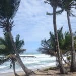 Puerto rico travel 2016 63 » 2026 » roaming sparrow 12771926 10153273607611300 1165660749609999640 o 10153273607611300 » Roaming Sparrow » 2026