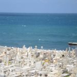 Puerto rico travel 2016 70 » 2026 » roaming sparrow 12778735 10153280841686300 7981953567558911168 o 10153280841686300 » Roaming Sparrow » 2026