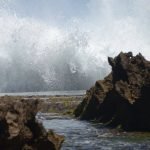 Puerto rico travel 2016 67 » 2026 » roaming sparrow 12779102 10153276920321300 5181365175236687626 o 10153276920321300 » Roaming Sparrow » 2026