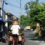 P9240123 &raquo; Roaming Sparrow &raquo; 2026