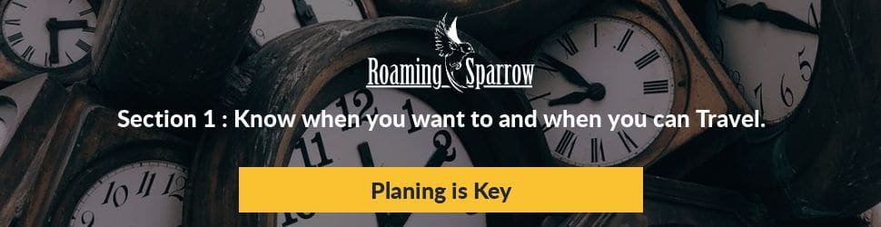 Section1 » Roaming Sparrow » 2024
