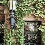 Boston ma 2019 photos 16 » 2026 » roaming sparrow 20190822 113940 » Roaming Sparrow » 2026