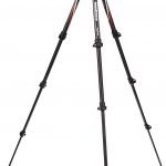 61JqWK5ERaL. SL1500 &raquo; Roaming Sparrow &raquo; 2026