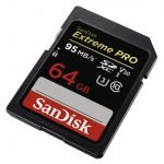 Sandisk 64gb extreme pro sdxc uhs-i memory card review 2 » 2026 » roaming sparrow 61q5hzh5fLL. SL1100 » Roaming Sparrow » 2026
