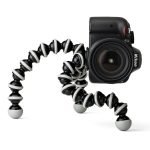 71TaRbG0SPL. SL1500 &raquo; Roaming Sparrow &raquo; 2026
