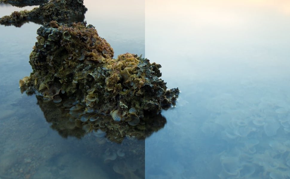 X4 cpl 77mm circular polarizer filter review 7 » 2026 » roaming sparrow FilterVsNoFilter » Roaming Sparrow » 2026