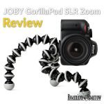 Gorlla &raquo; Roaming Sparrow &raquo; 2026