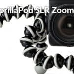Gorlla2 &raquo; Roaming Sparrow &raquo; 2026