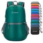 Zomake ultra lightweight packable backpack review 4 » 2026 » roaming sparrow 81Pa38bx5L. SL1500 » Roaming Sparrow » 2026