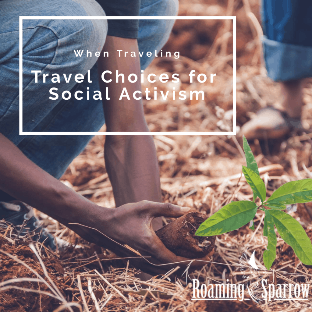 Travel Choices for Social Activism