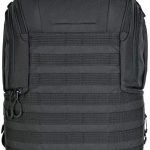 Lowepro protactic 450 aw ii 2 » 2026 » roaming sparrow tatic1 » Roaming Sparrow » 2026
