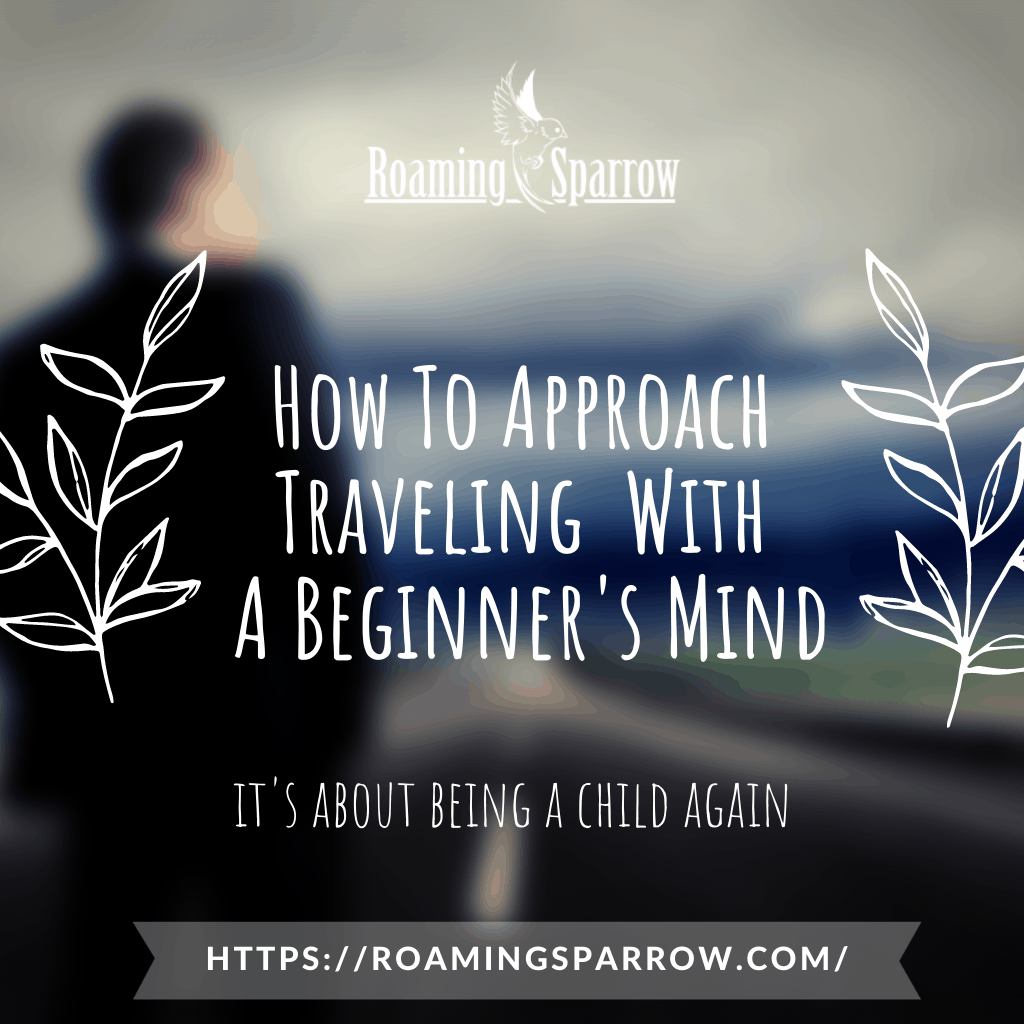 Traveling With A Beginner's Mind