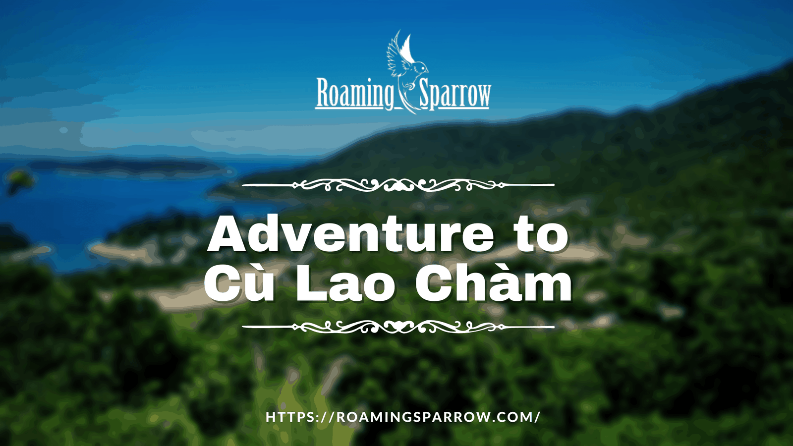 Adventure to Cham Island » Roaming Sparrow » 2024