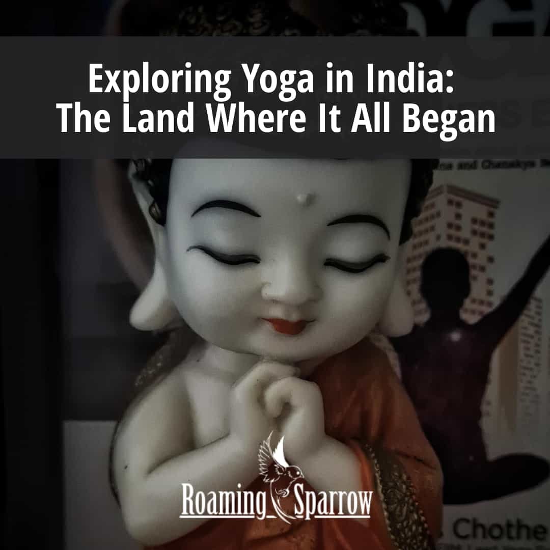 Exploring Yoga in India: The Land Where It All Began