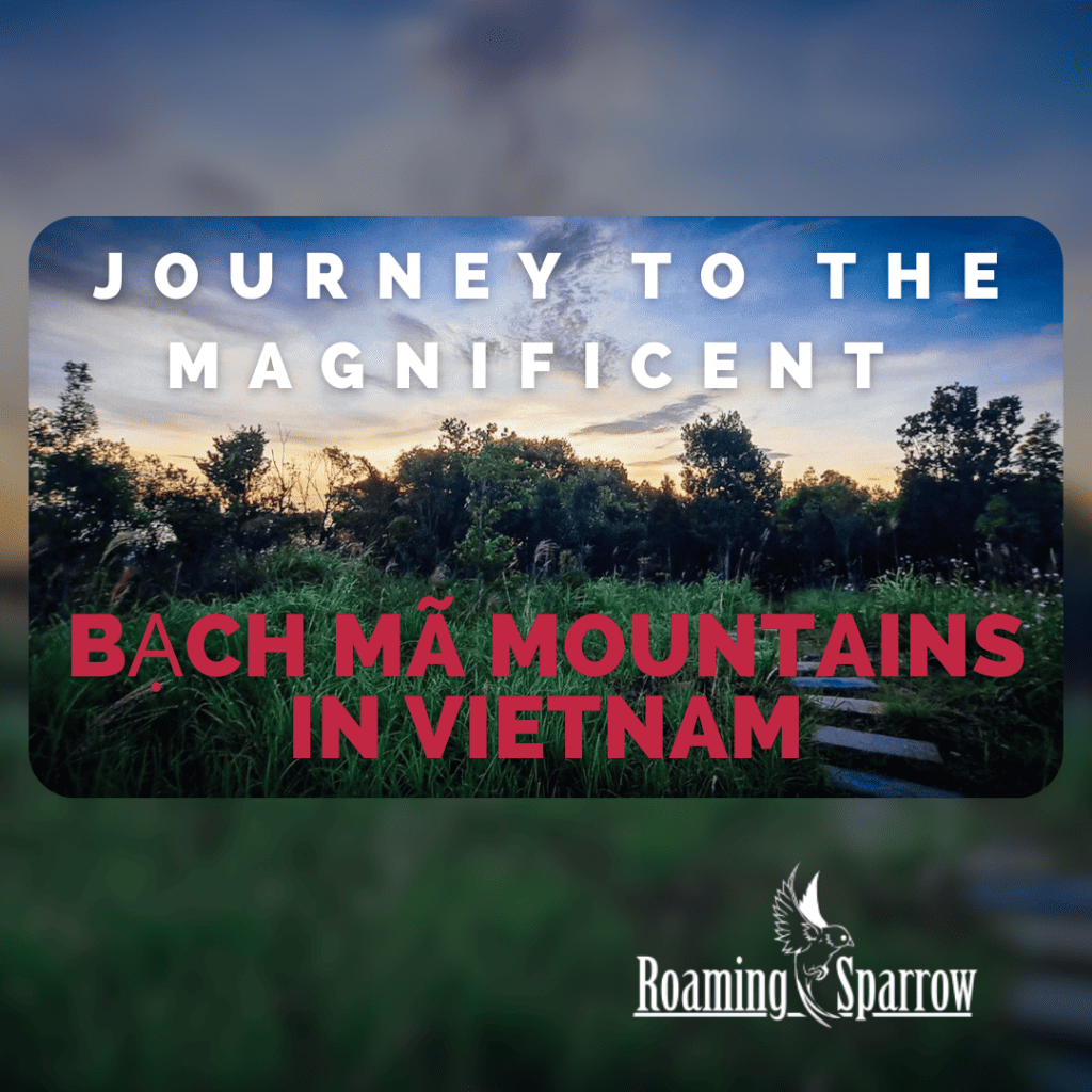 Journey to the magnificent Bạch Mã Mountains in Vietnam