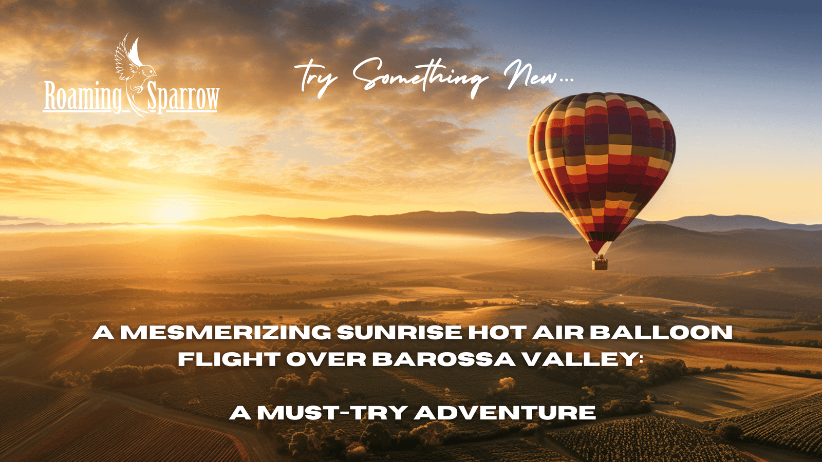 Sunrise Hot Air Balloon Flight Over Barossa Valley