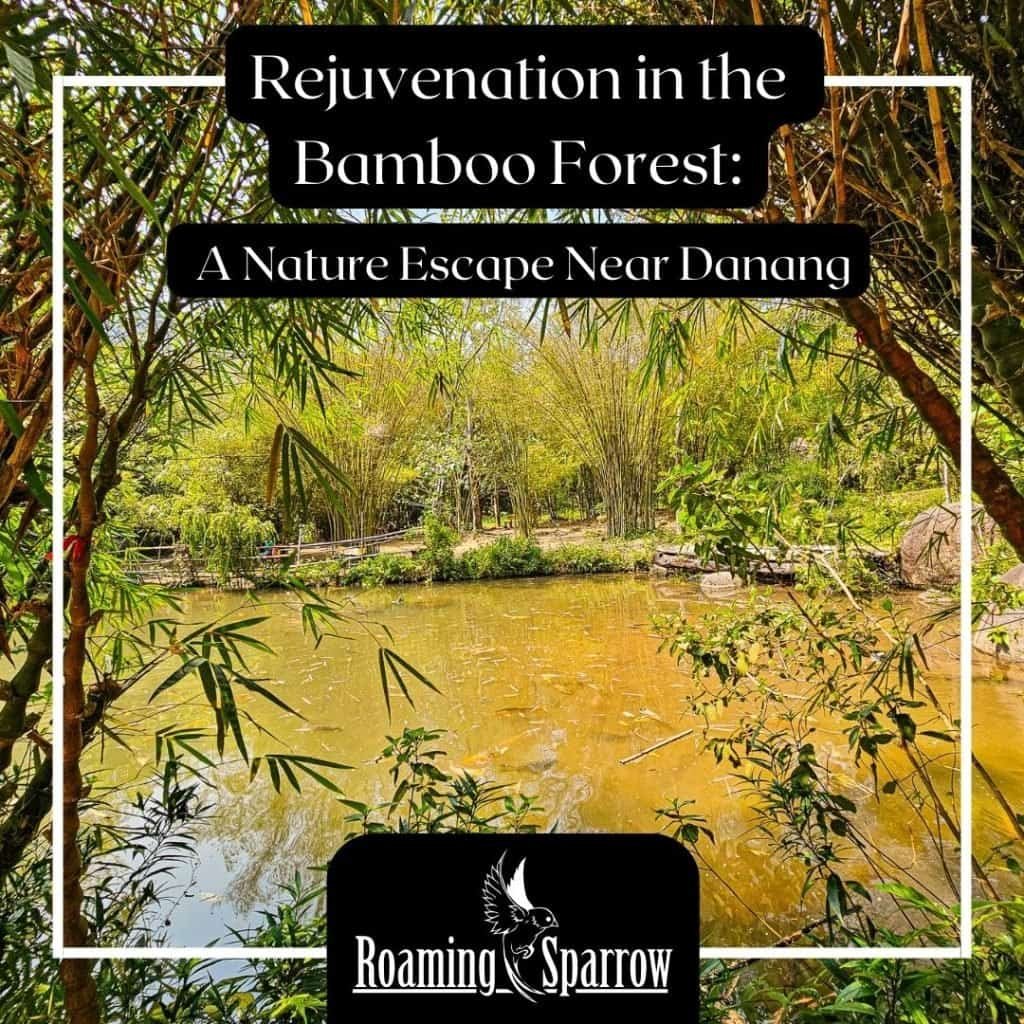 Rejuvenation in the Bamboo Forest: