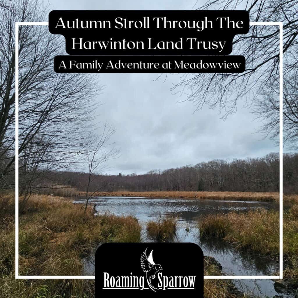 Harwinton Land Trust: An Easy Autumn Hike Through Connecticut's Fall Colors