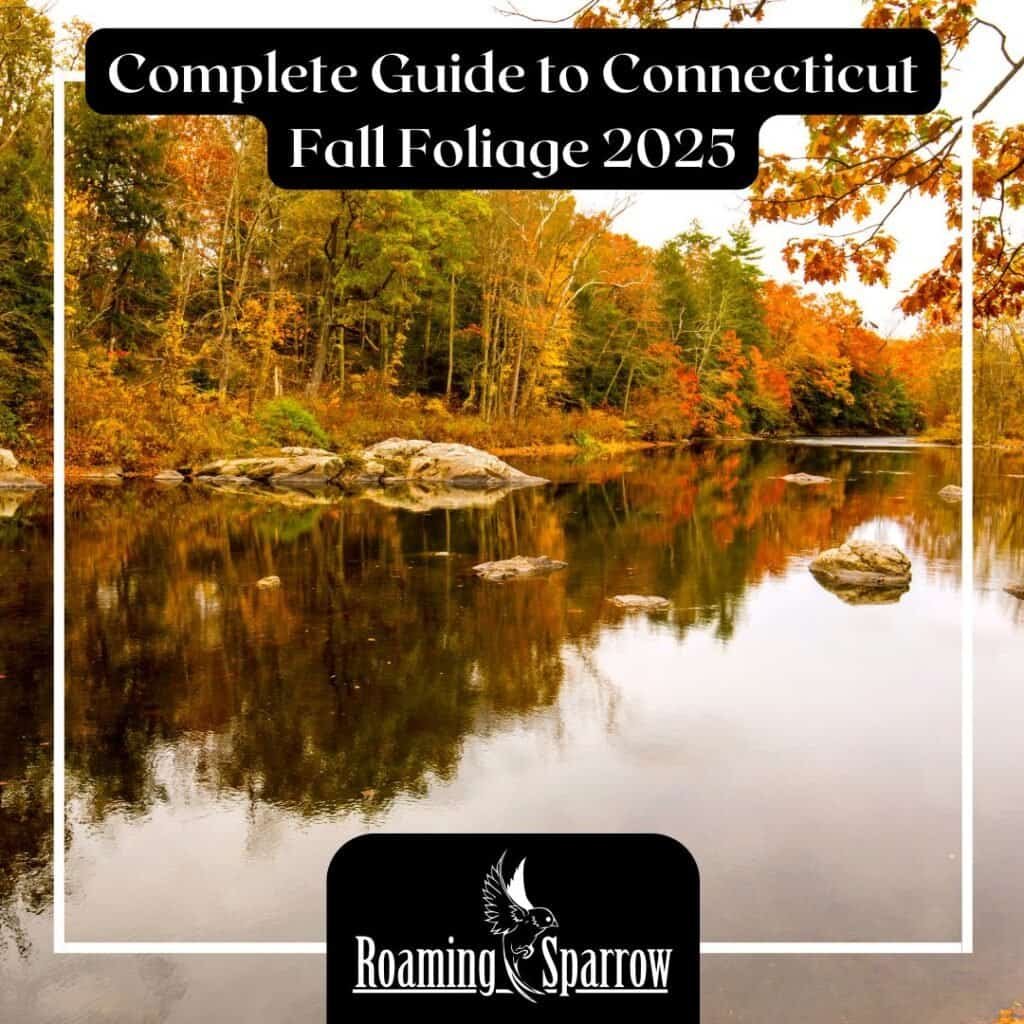 Complete Guide to Connecticut Fall Foliage 2025 | Local Expert Tips