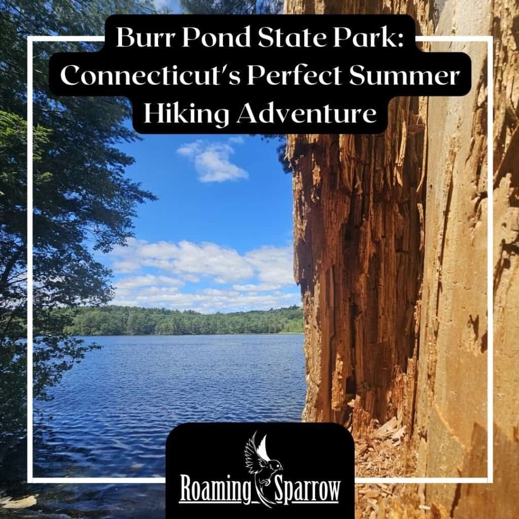 Burr Pond State Park: Connecticut's Perfect Summer Hiking Adventure