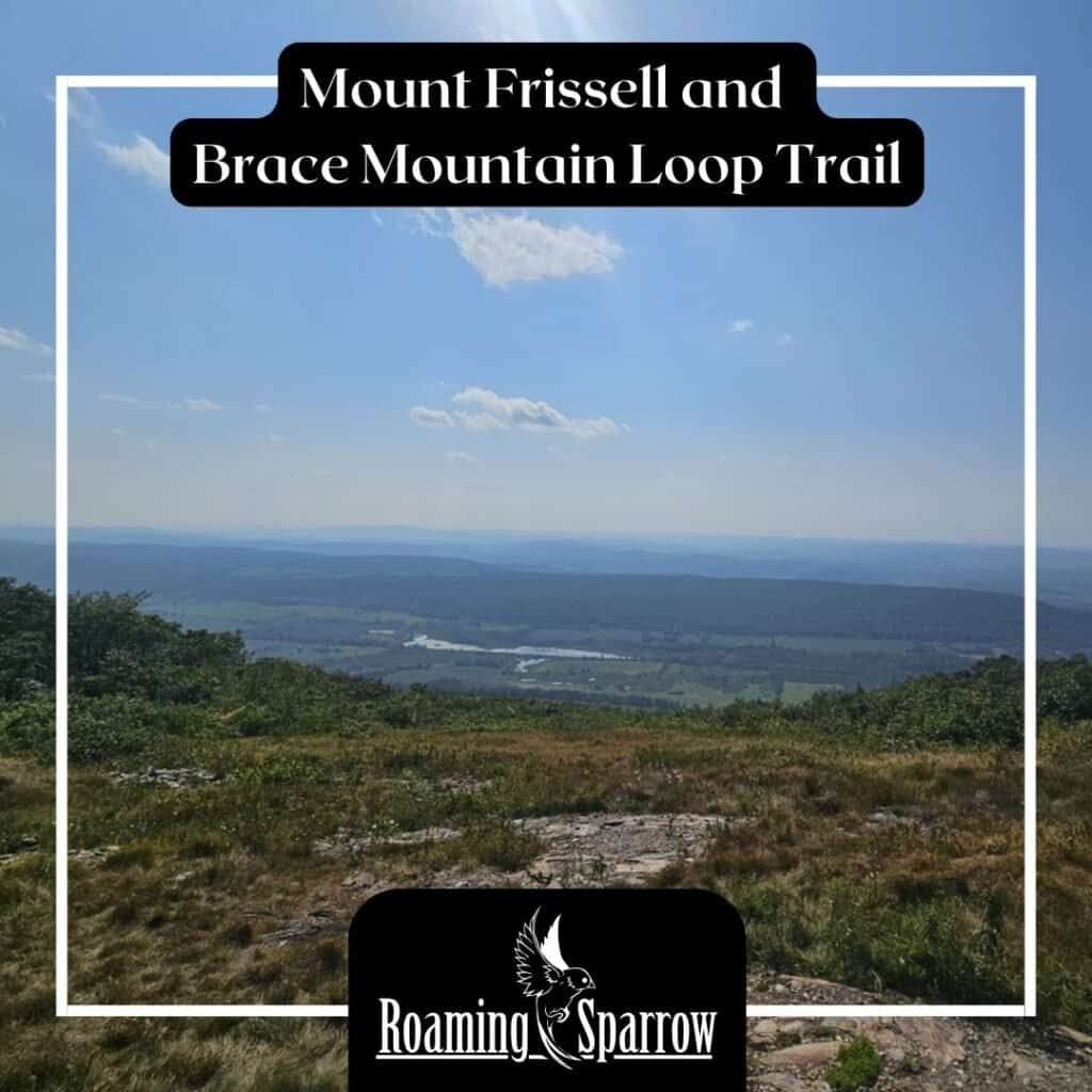 Mount Frissell and Brace Mountain Loop Trail: When Friday Computer Work Turns Into a Connecticut Tri-State Adventure