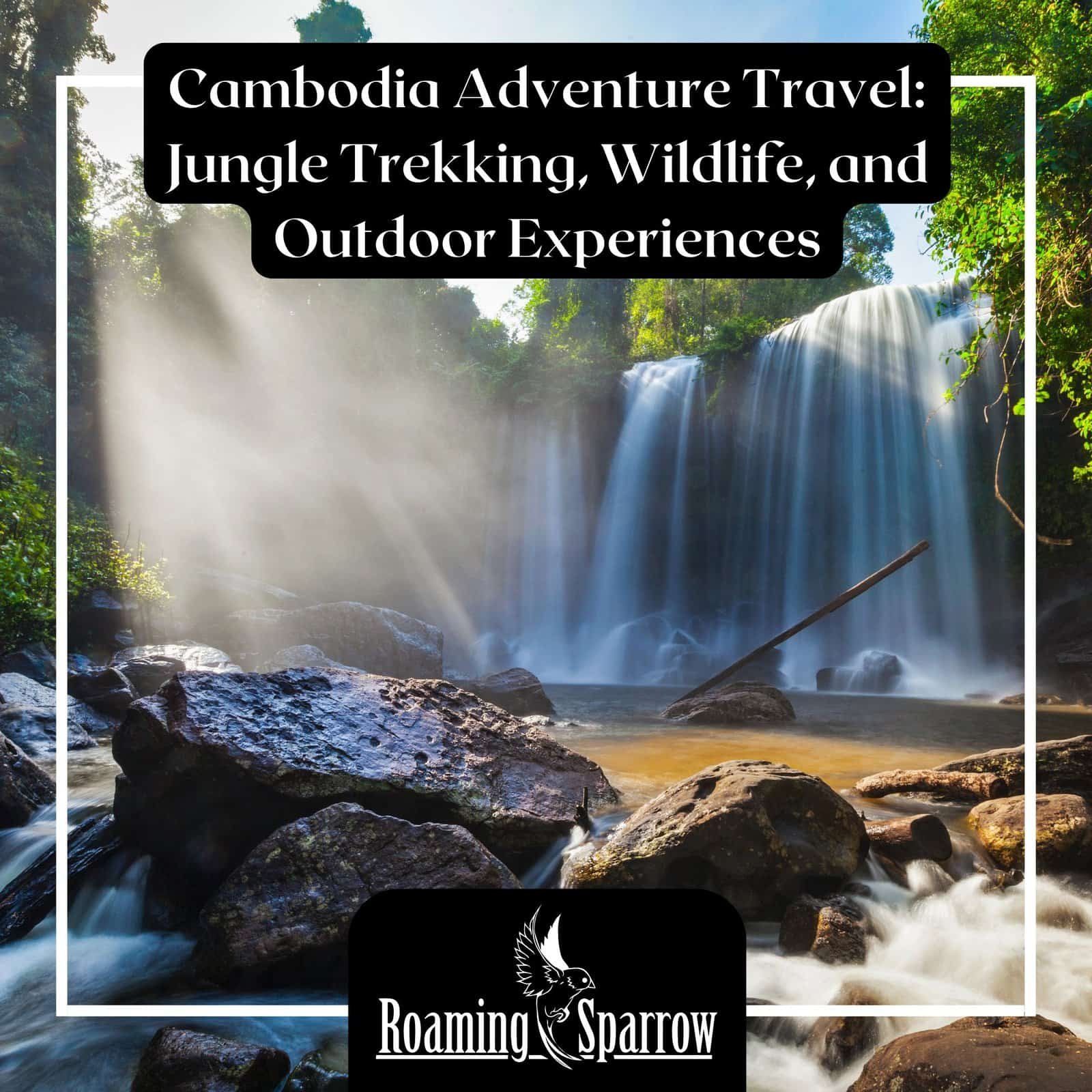 Cambodia Adventure Travel: Jungle Trekking, Wildlife, and Outdoor Experiences