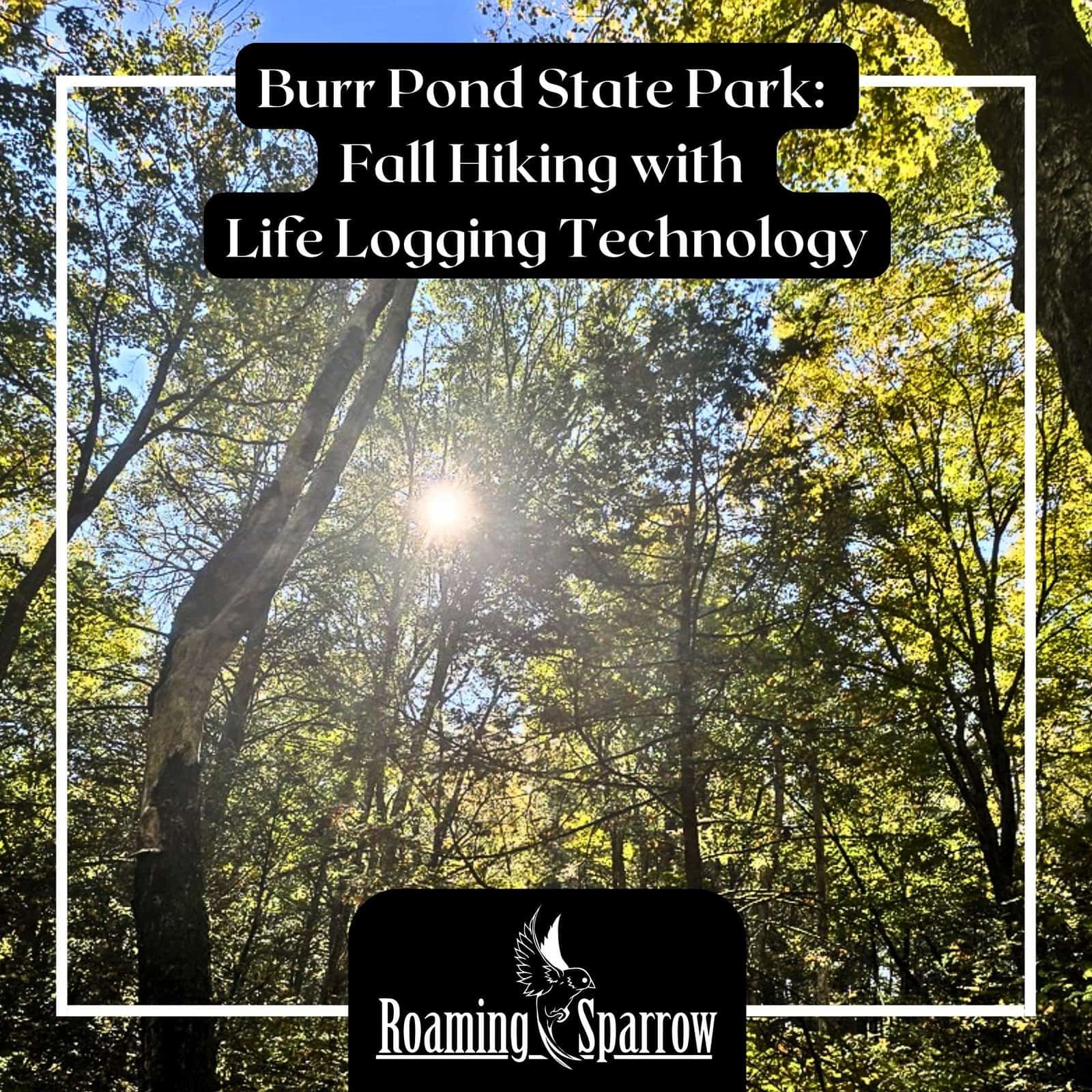 Burr Pond State Park: Fall Hiking with Life Logging Technology
