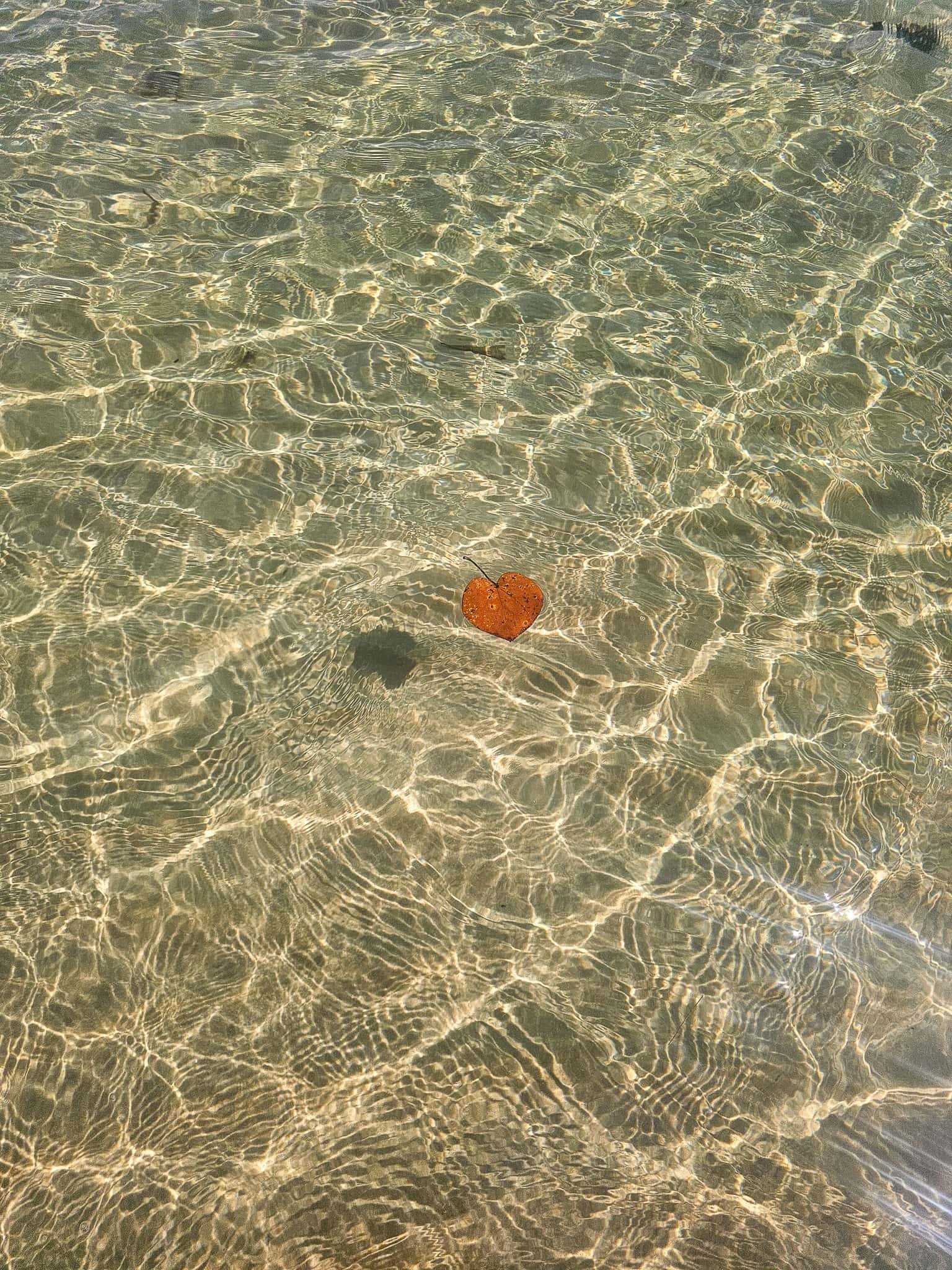 Living on a Cambodian