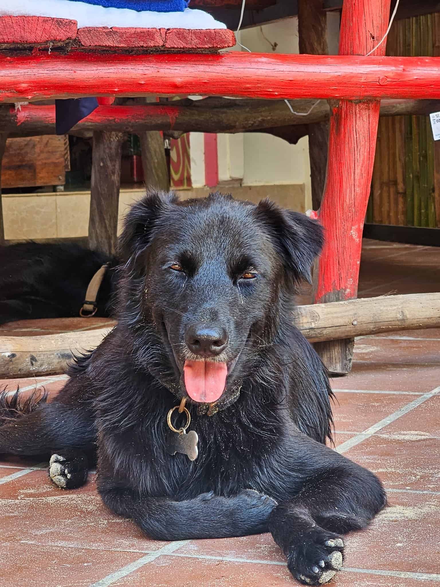 Living on a Cambodian