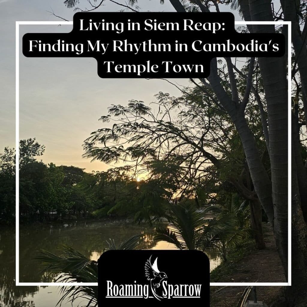 Living in Siem Reap: Finding My Rhythm in Cambodia's Temple Town
