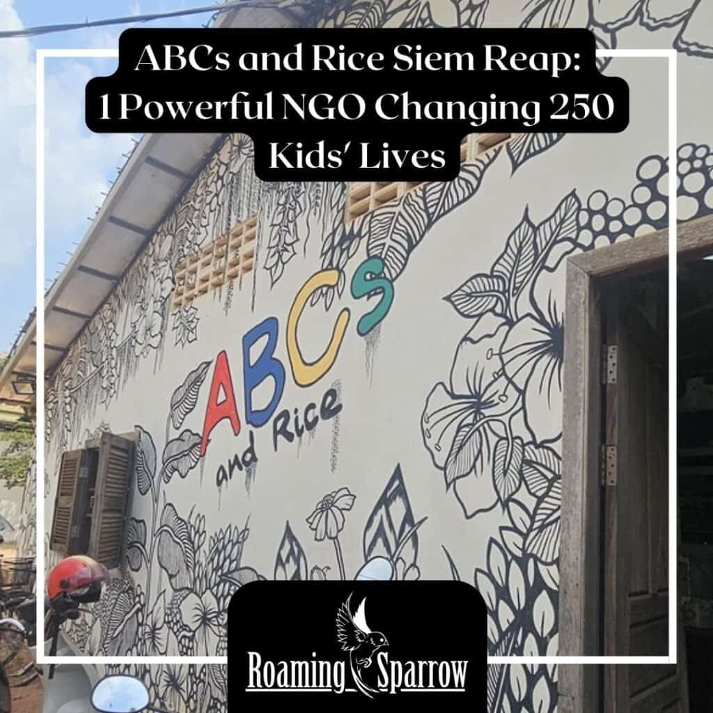 ABCs and Rice Siem Reap: 1 Powerful NGO Changing 250 Kids' Lives