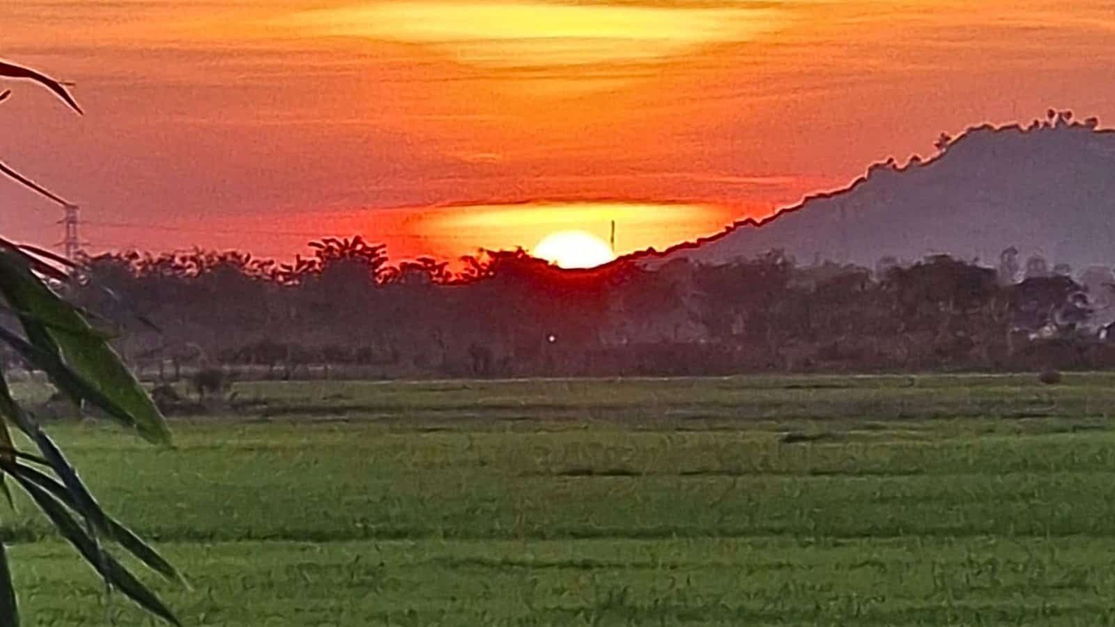 Image courtesy of Lisa