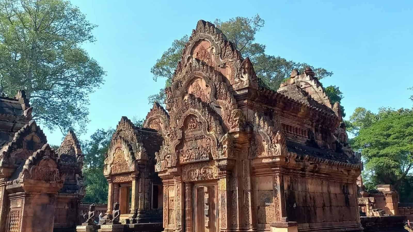 Image courtesy of Lisa