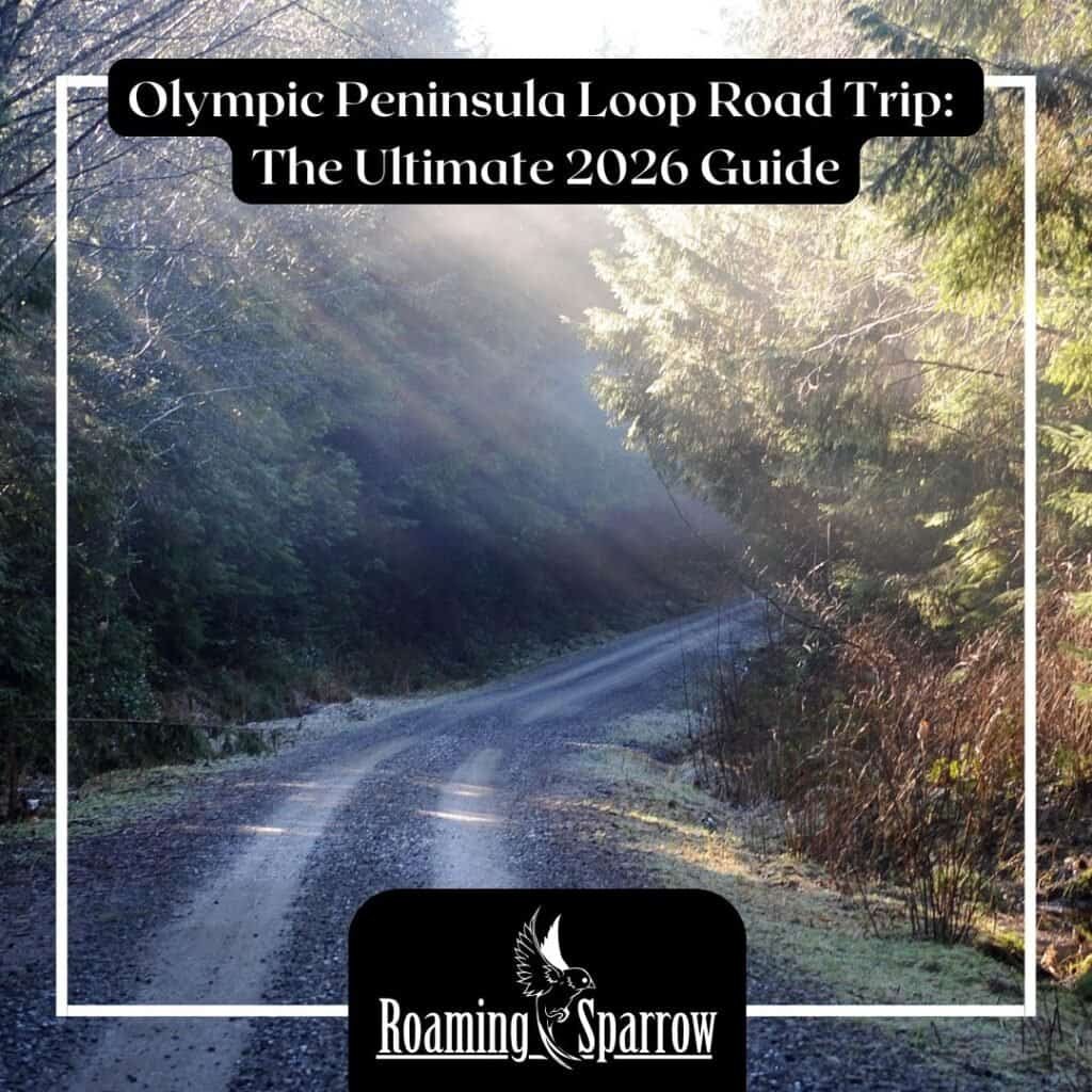 Olympic Peninsula Loop Road Trip: The Ultimate 2026 Guide