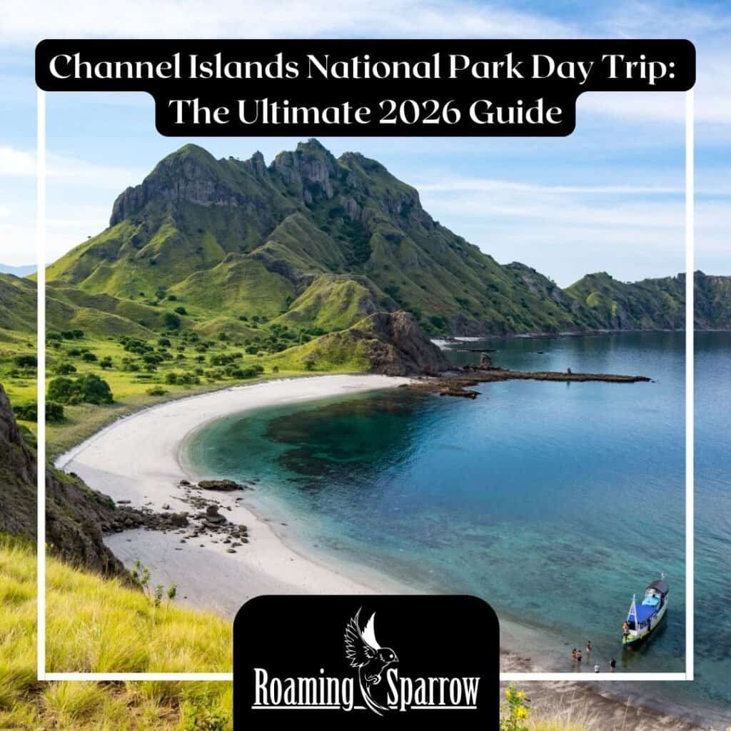 Channel Islands National Park Day Trip: The Ultimate 2026 Guide