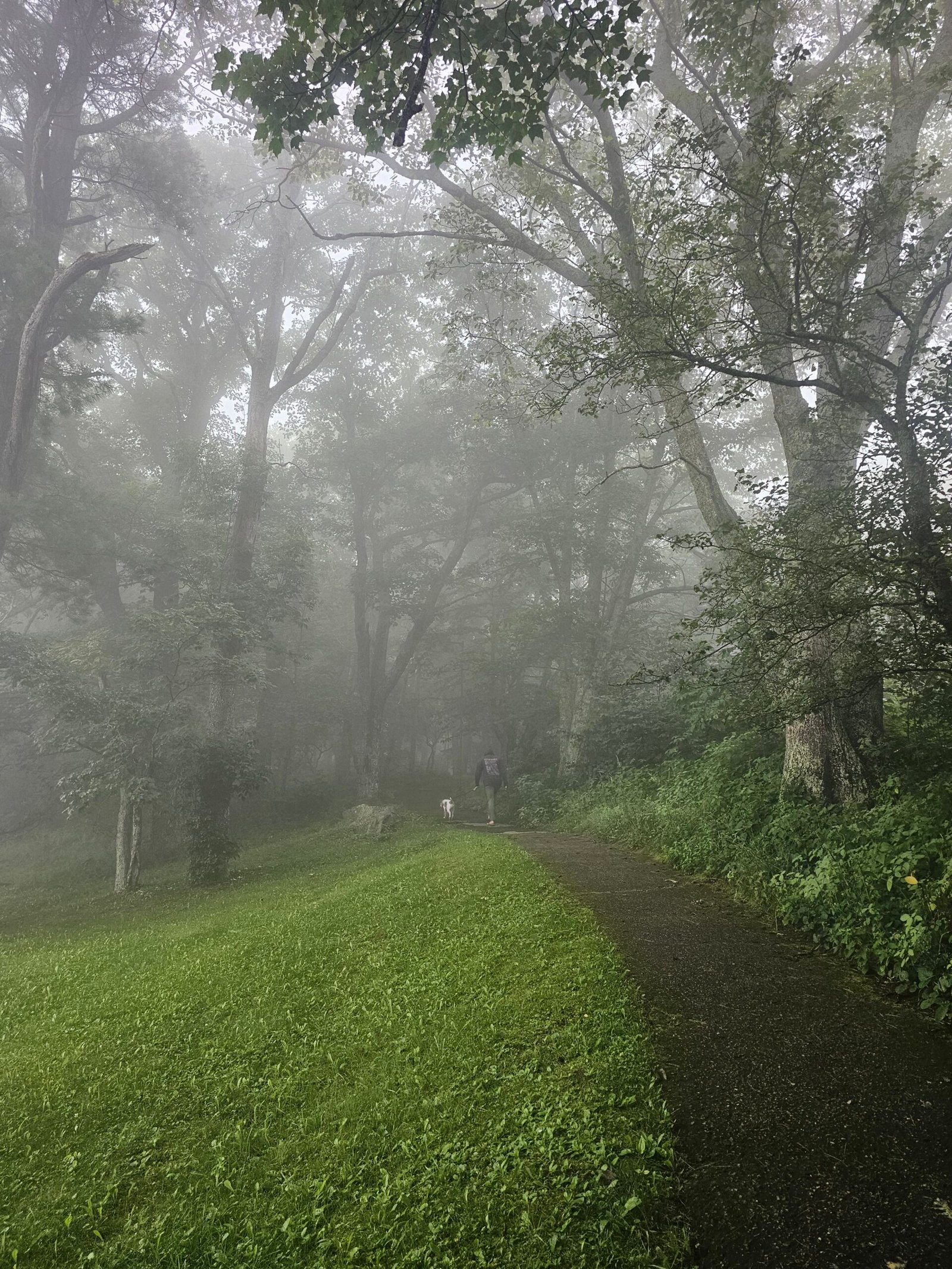 Skyland Lodge, Shenandoah: A Rainy Detour Home From the Outer Banks