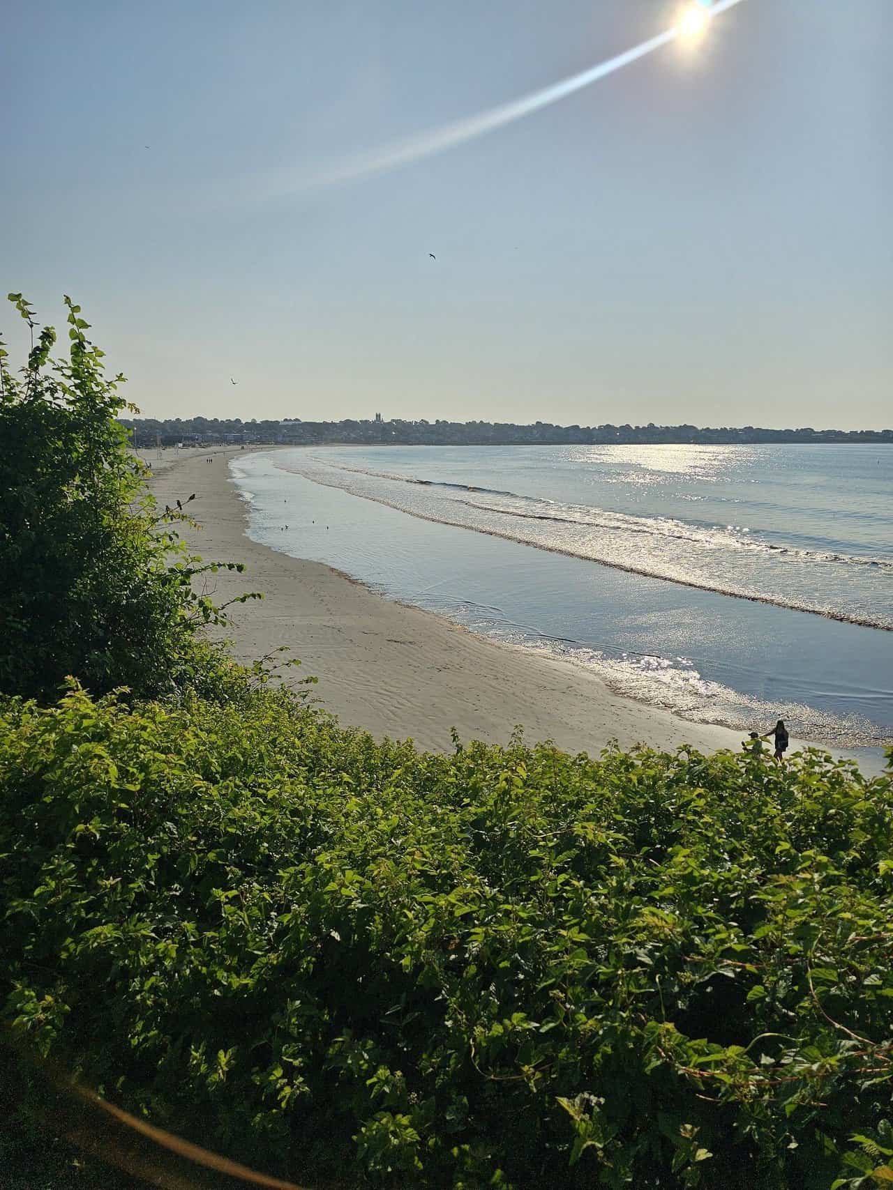 A family adventure to newport rhode island: surfing lessons, red algae, and unexpected discoveries 46 » 2026 » roaming sparrow image.png