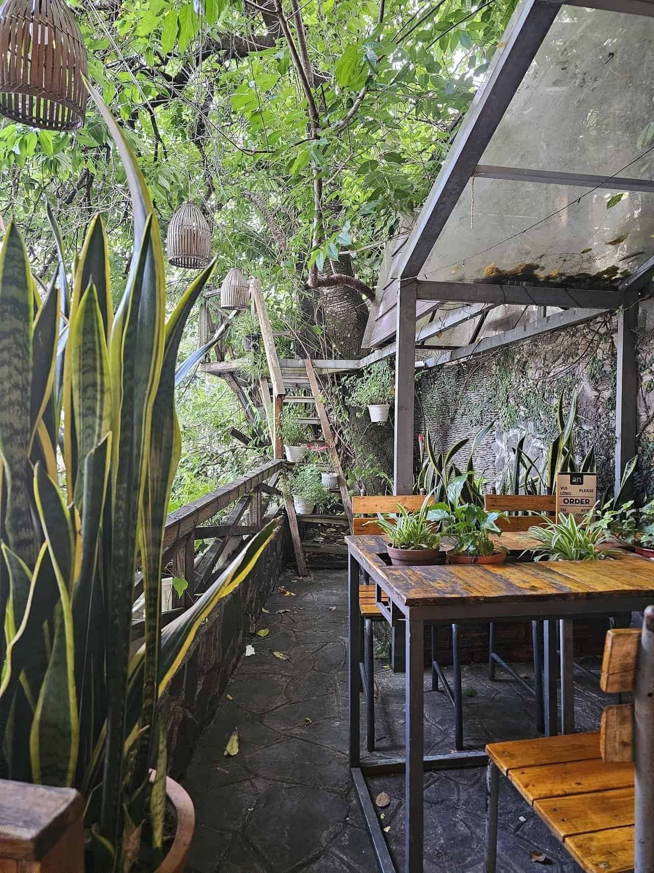 A refreshing escape: from danang to dalat 61 » 2026 » roaming sparrow image.png