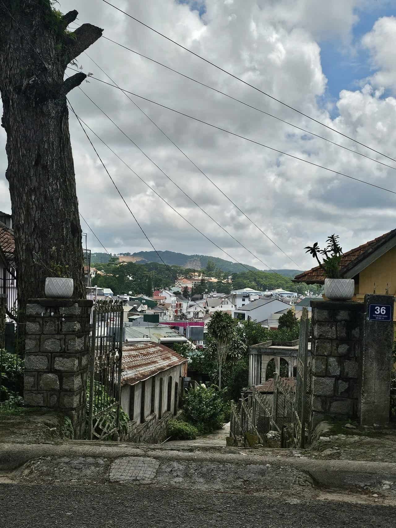 A refreshing escape: from danang to dalat 65 » 2026 » roaming sparrow image.png