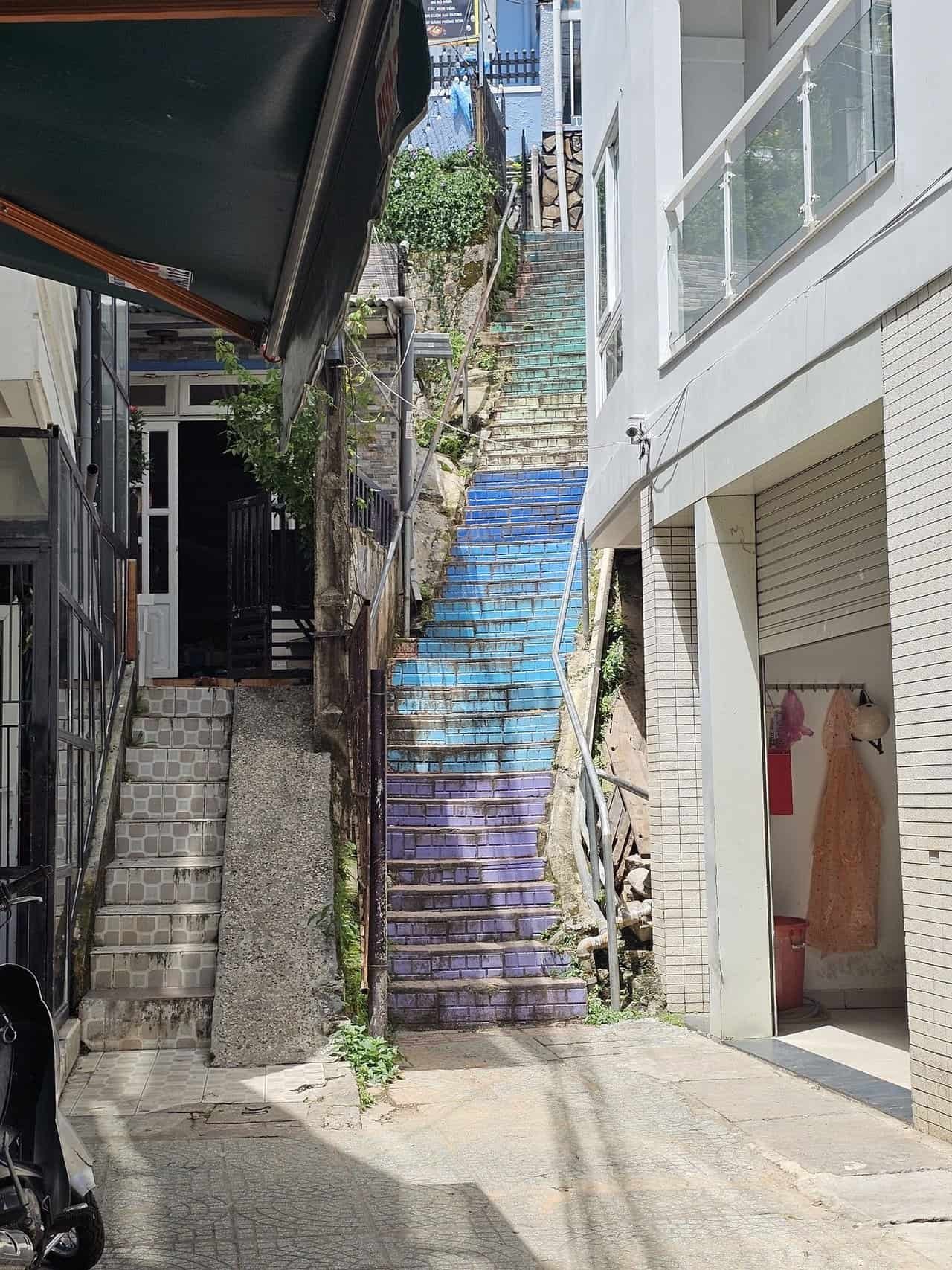 A refreshing escape: from danang to dalat 66 » 2026 » roaming sparrow image.png